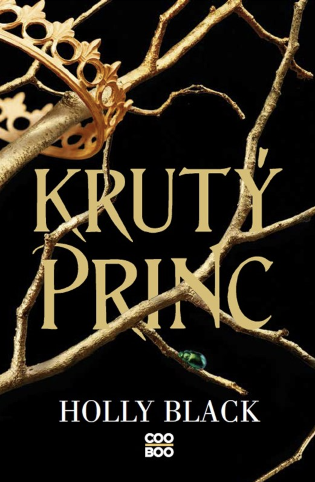 Obálka knihy Krutý princ